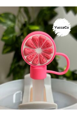 Stanley Portakal Termos Süsü/Dilim Portakallı Pipet Tıpası/Pipet Kapağı