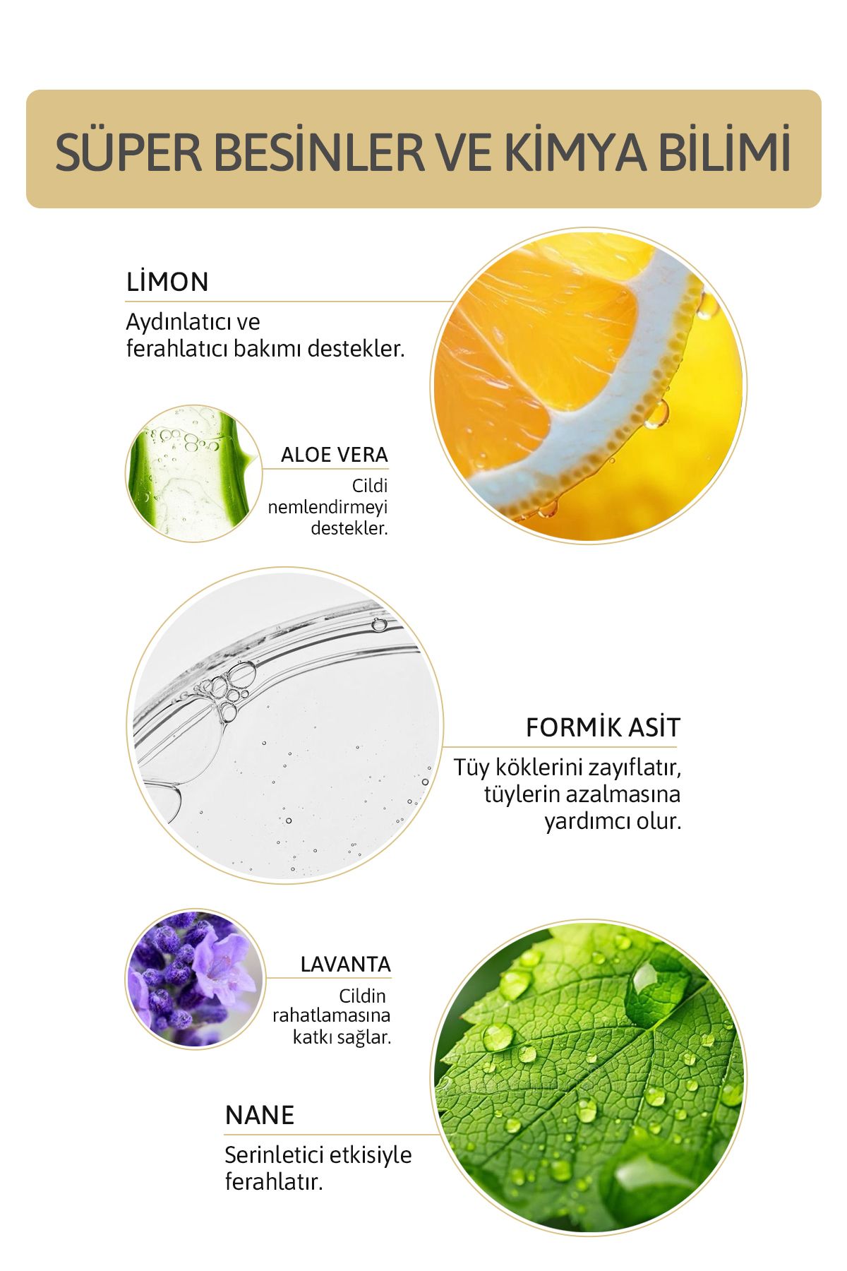 ORNATE Karınca Yumurtası Bakım Yağı 20 ml Vegan Formic Asit Aloe Vera Kuru Ve Hassas Ciltler - Görsel 2