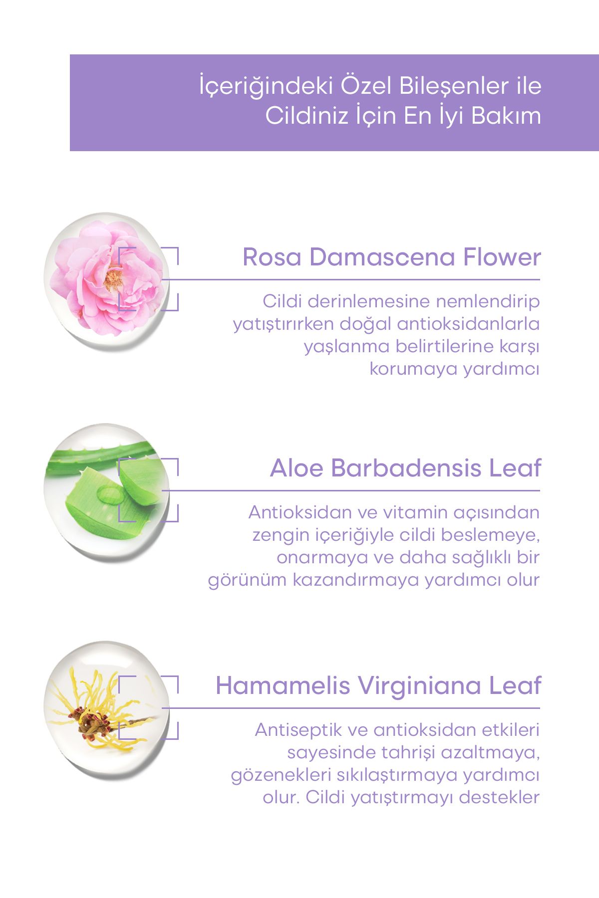 CALLİEL Salisilik Asit Tonik Seti - Görsel 2