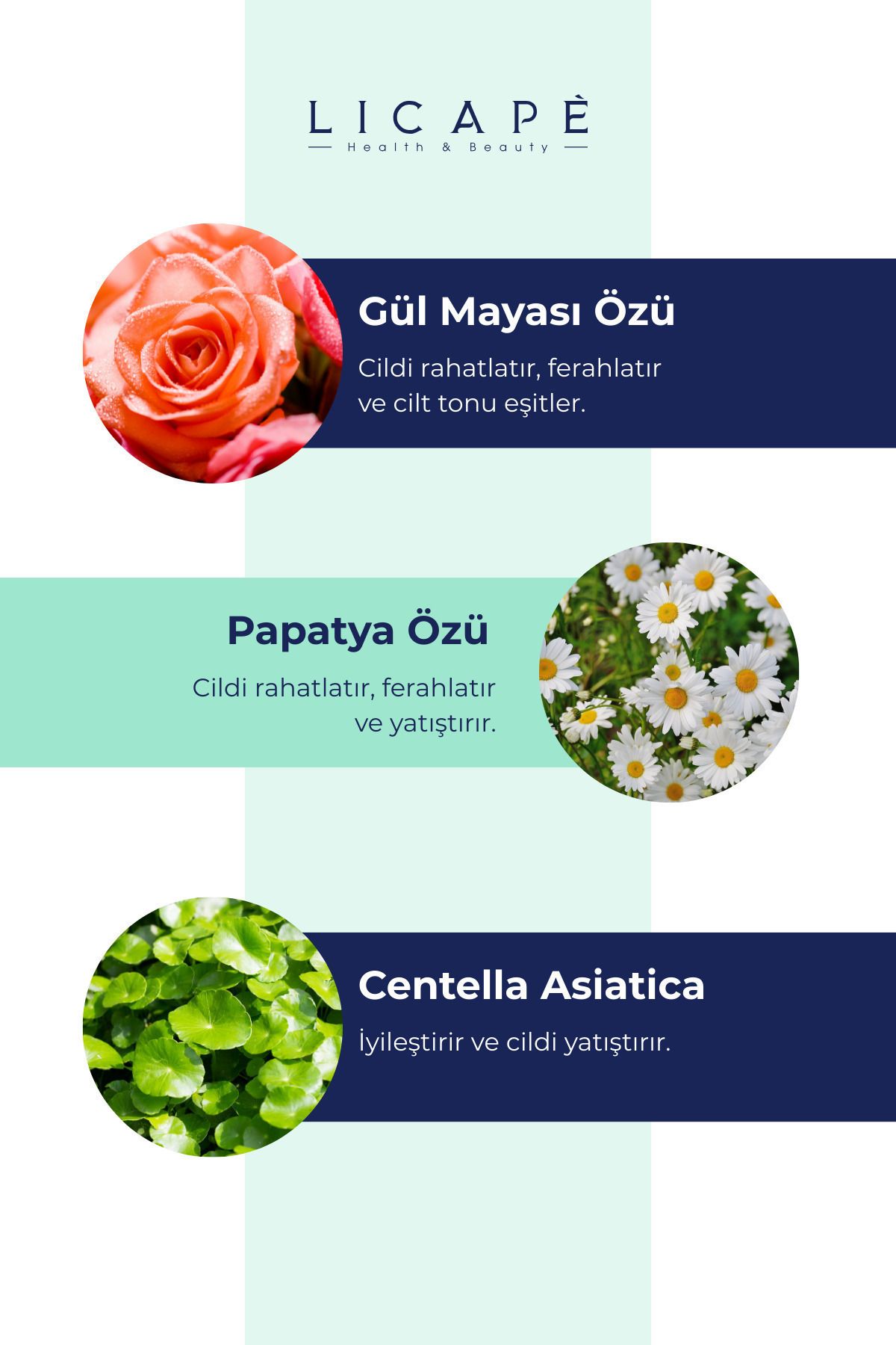 Licape Etkisi Arttırılmış Saf Gül Mayası Toniği 100ml - Görsel 2