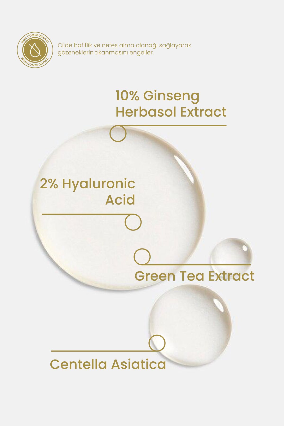 Cosmogenesis Labs Ginseng Serum 30ml - Cilt Yenileyici, Sıkılaştırıcı, Bariyer Güçlendirici Vegan (%10 GİNSENG ÖZÜ) - Görsel 2