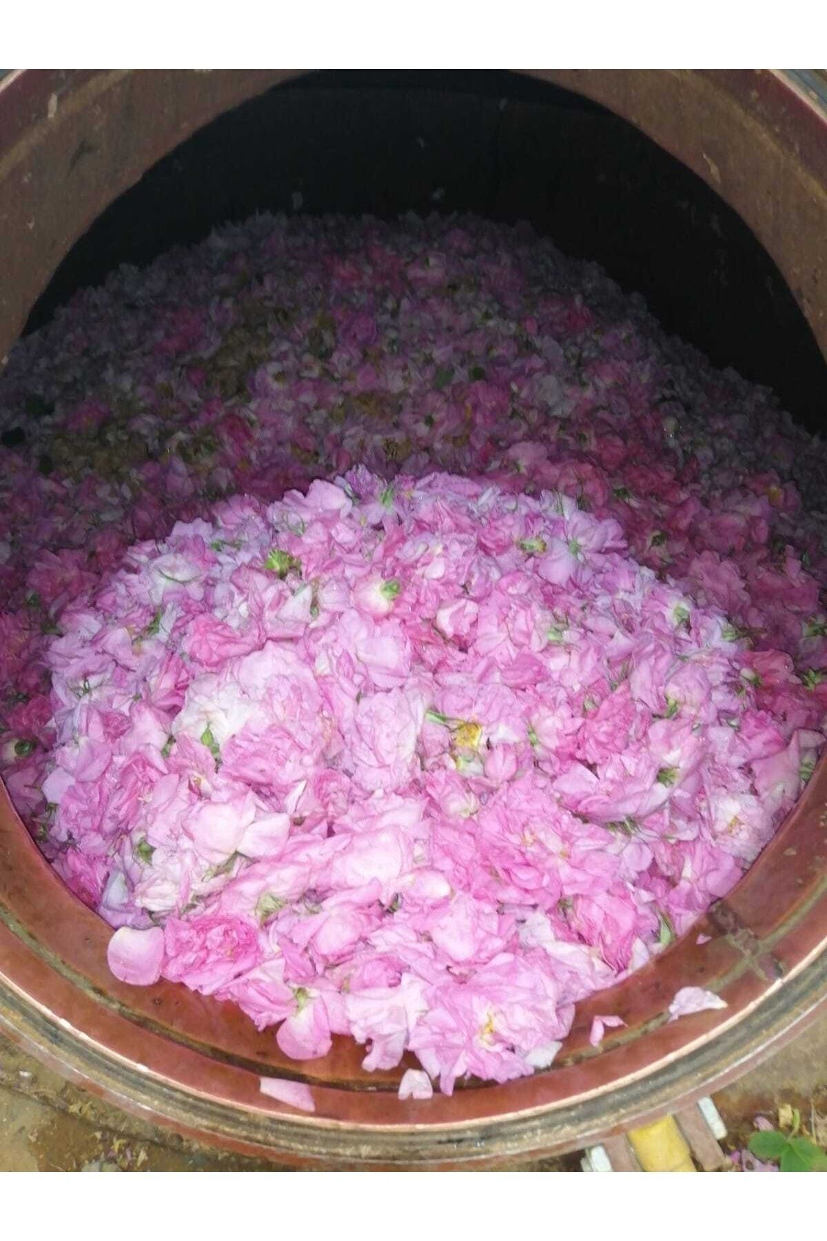 GÜLKÖYLÜ Yağı Alınmadık Isparta Gül Suyu (1 LİTRE TAM YAĞLI) 2025 Mahsulü - Görsel 2