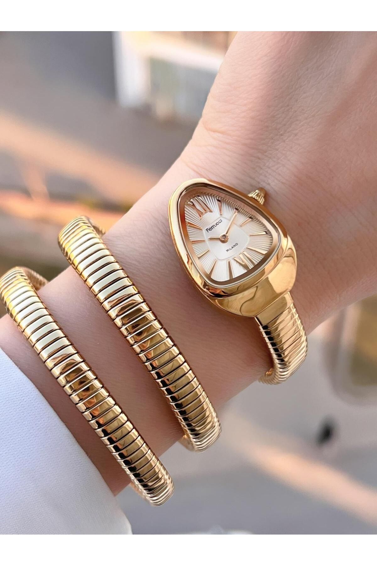 Ferrucci Yılan Dolamalı Çelik Kordon 2 Yıl Garantili 3 Atm Suya Dayanıklı Kadın Kol Saati C.03442.3