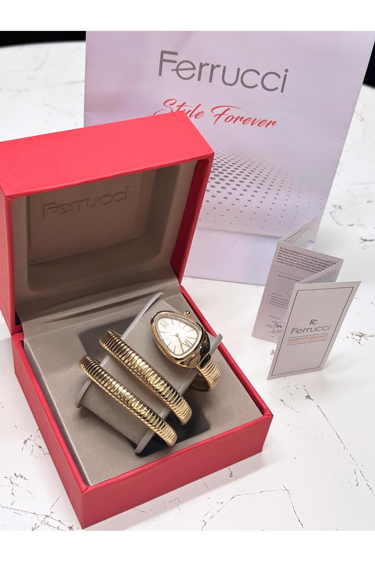 Ferrucci Yılan Dolamalı Çelik Kordon 2 Yıl Garantili 3 Atm Suya Dayanıklı Kadın Kol Saati C.03442.3 - Görsel 3