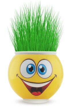 Çimoji Çim Adam Mutlu Çim Adam