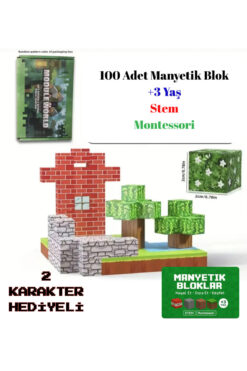 Manyetik Bloklar Module world 100 Parça Minecraft Tarzı Zeka Geliştici Eğitici Oyuncak