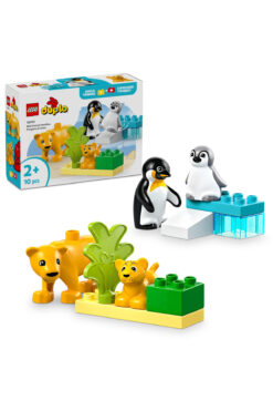 LEGO ® DUPLO® Kasabası Vahşi Hayvan Aileleri:Penguenler ve Aslanlar 10442- 2+ Eğitici Oyuncak Seti (10P)