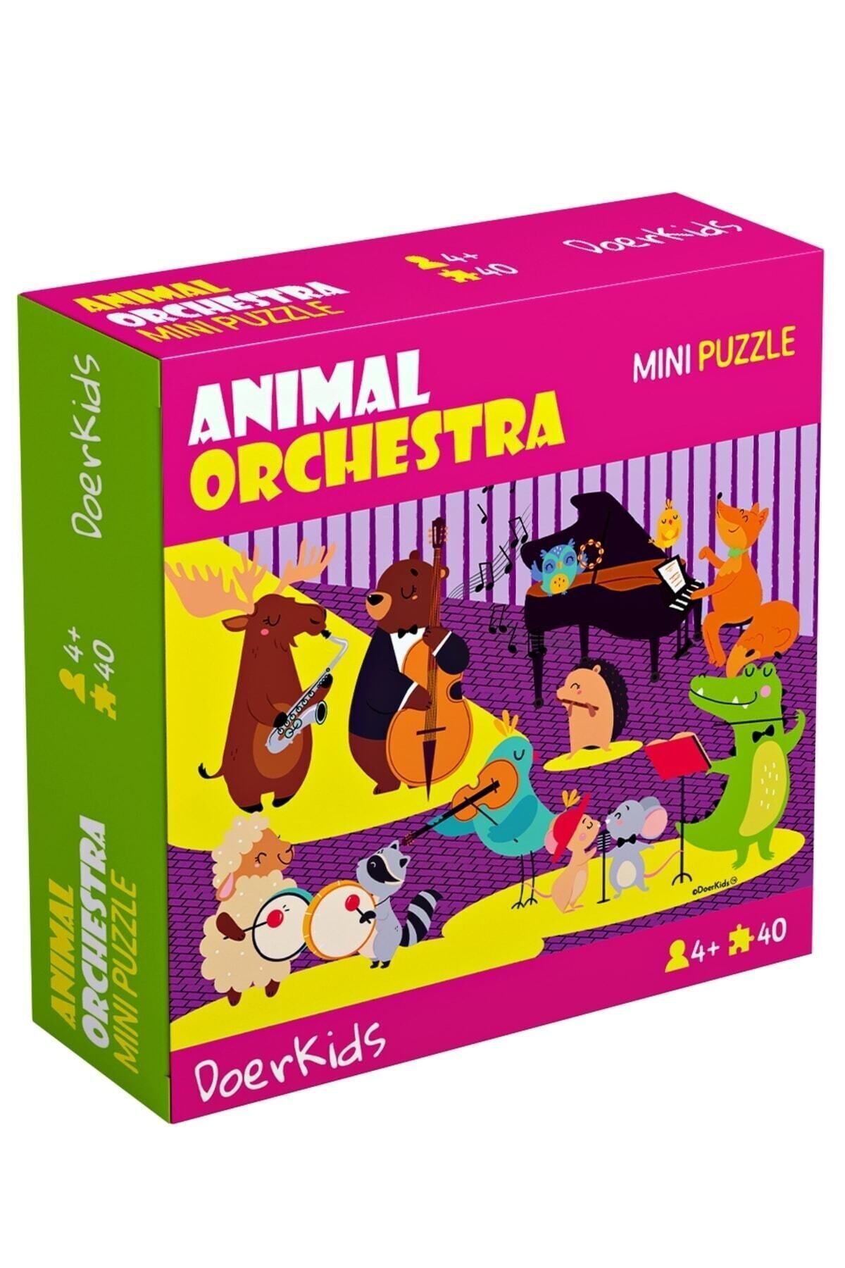 DoerKids Hayvan Orkestrası Mini Puzzle | 3-7 Yaş - 40 Parça