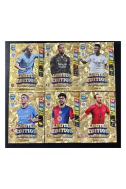 TOYFEST 1 Paket Panini Adrenalyn Fifa 365 2025 Premium Gold Card Özel Futbolcu Kartları