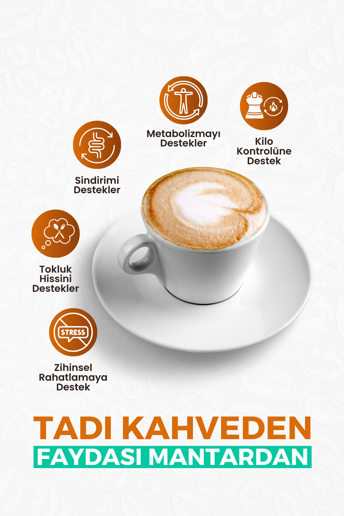 ALBERT MULLER Analiz Edilmiş İçerik Kalitesiyle Güvenilir 5 Mantarlı Hindiba Kahvesi | 2'li Avantaj Paketi - Görsel 3