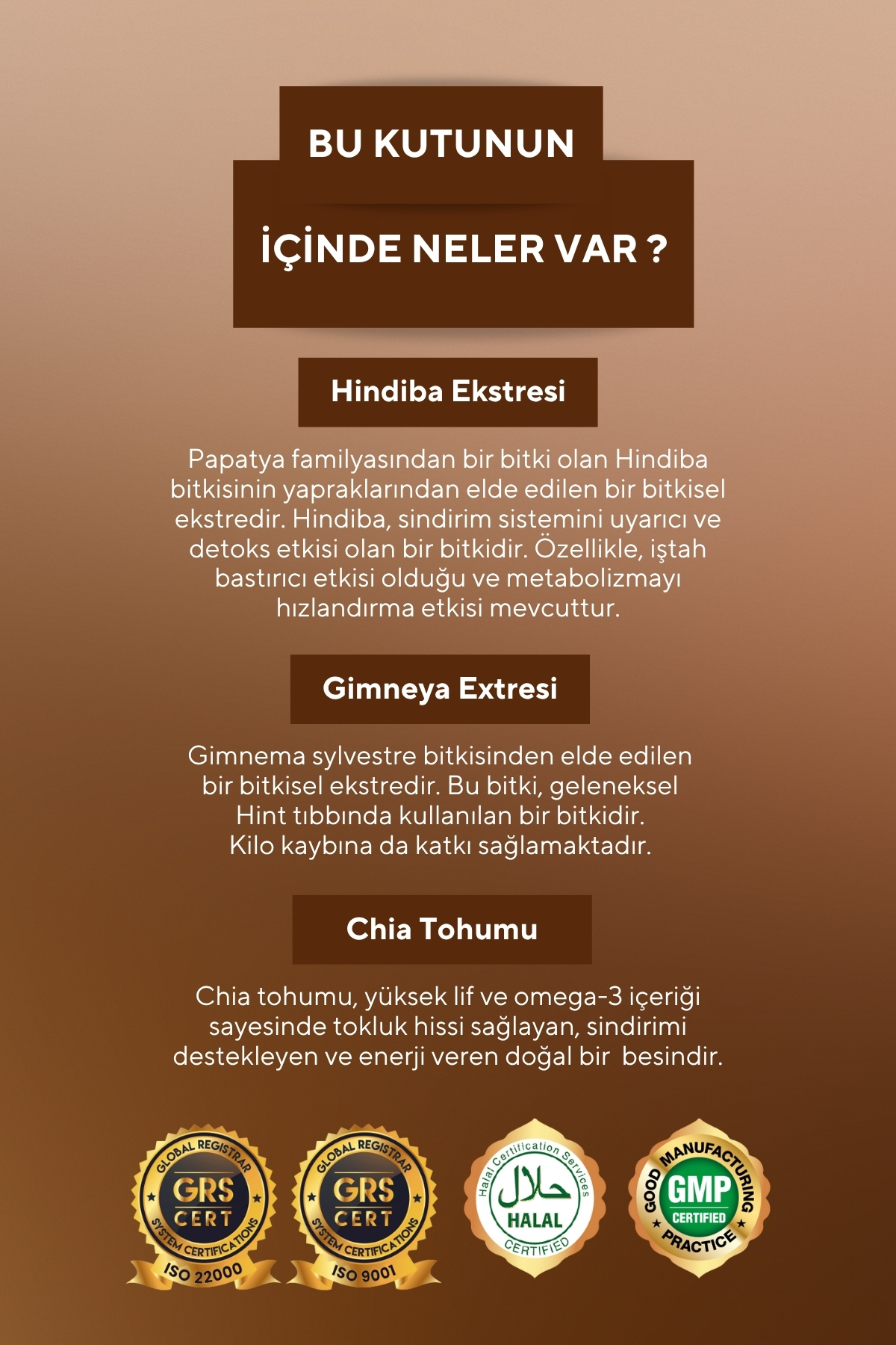VitaCeel 2'li Hindiba, Gimneya, Chia Extract, L-Karnitin İçeren Detox Kahve - Görsel 2