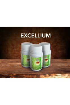 MOODİE TASARIM Excellium 90 Kapsül Ganoderma Lucidium Içeren Takviye Edici