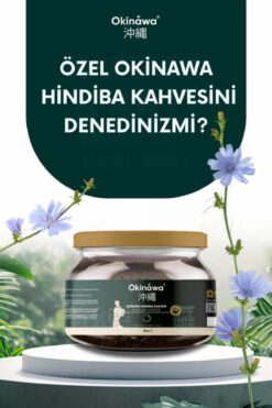 Genel Markalar Okinawa Hindiba Kahvesi Detox Kahve 1 Aylık - (60 KULLANIM) Net 150gr