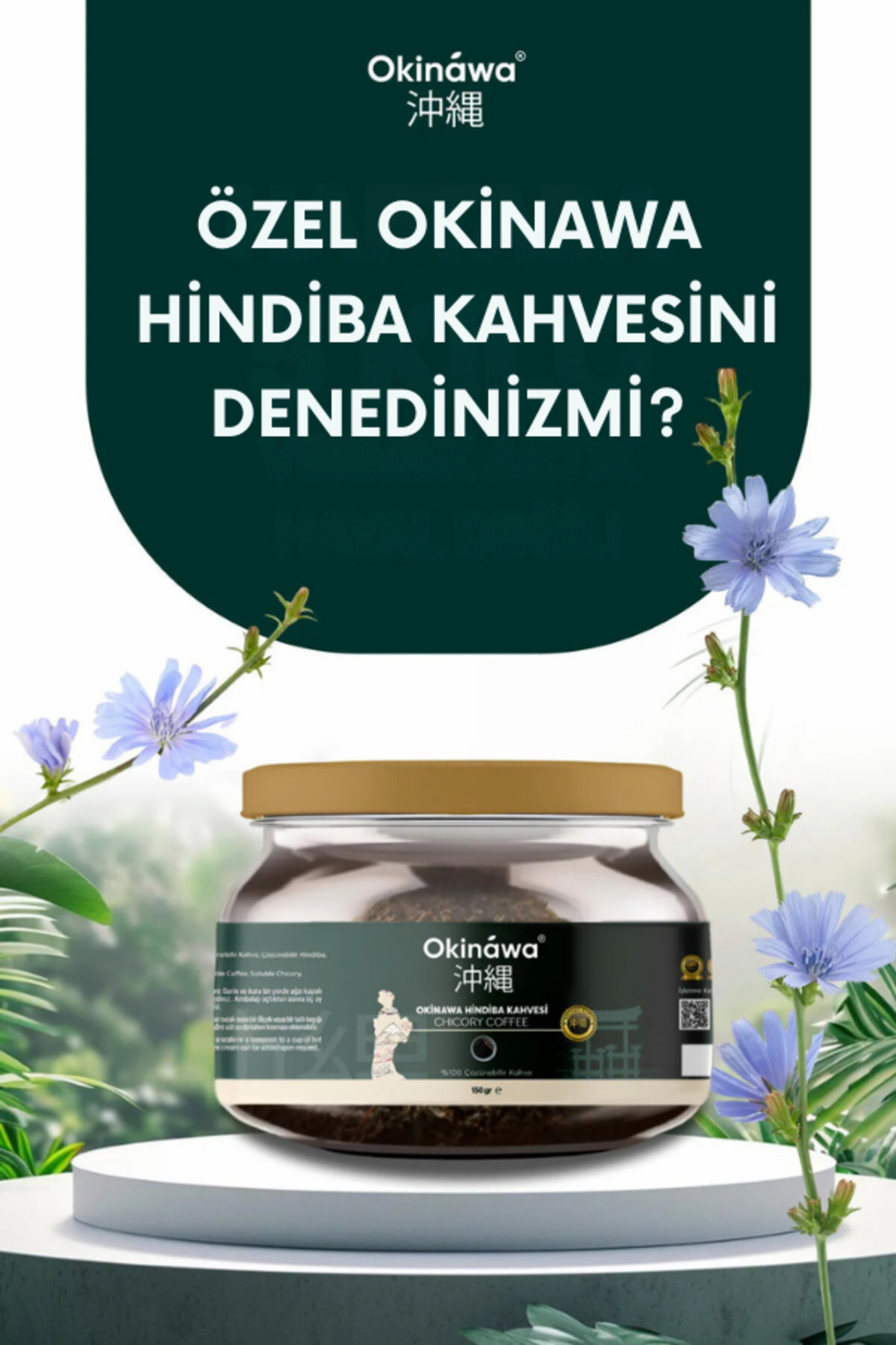 Genel Markalar Okinawa Hindiba Kahvesi Detox Kahve 1 Aylık - (60 KULLANIM) Net 150gr