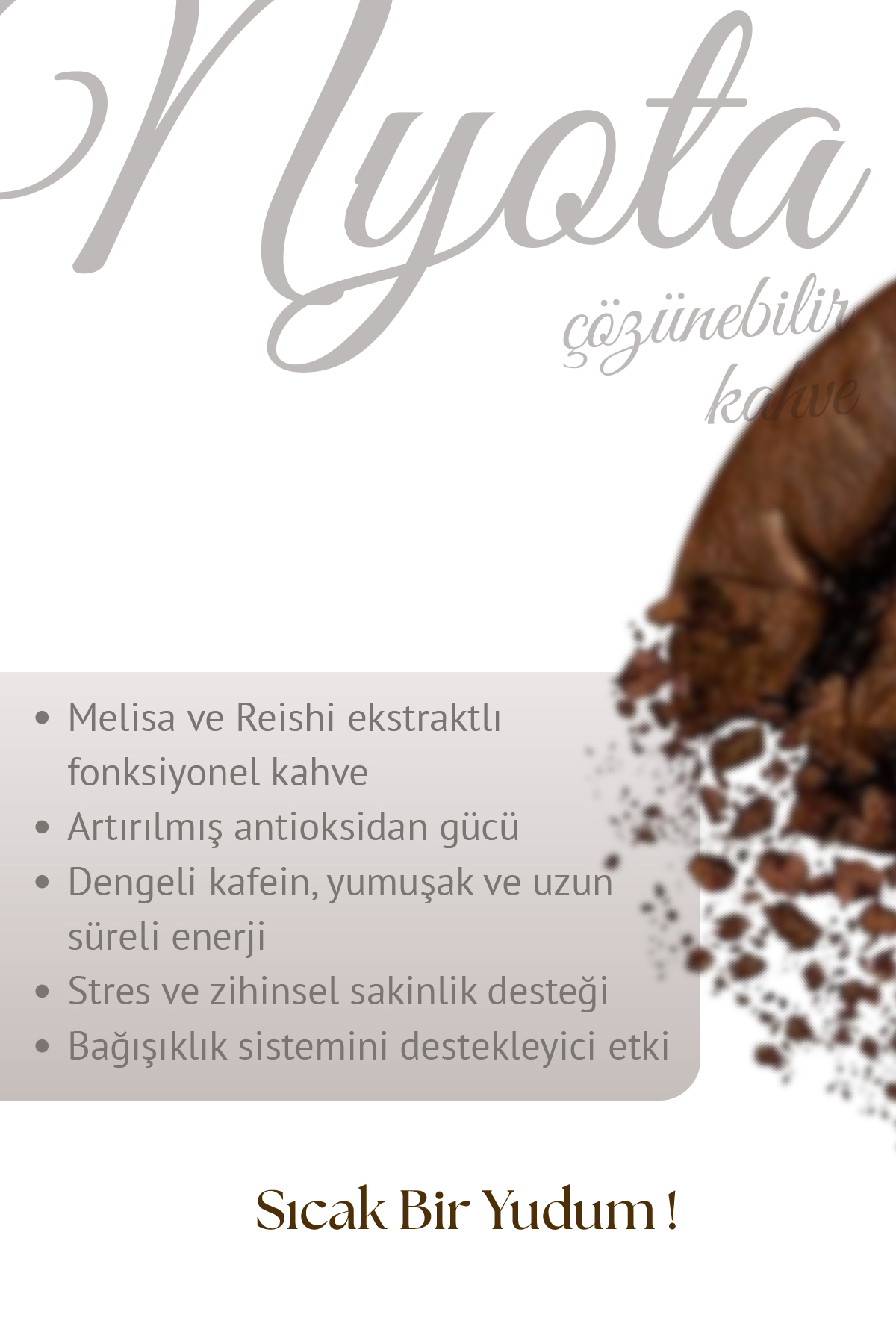 NYOTA Akşam Sefası Melisalı Çözünebilir Kahve - Görsel 2