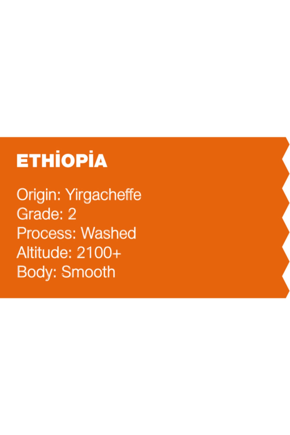 The Coffee Warehouse 5x200g Süper Deneme Paketi 5 Yöresel Filtre Kahve (TAZE ÖĞÜTÜLMÜŞ) - Görsel 3