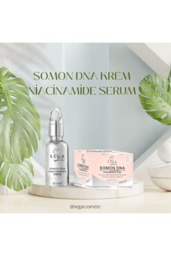 SEGA Somon Dna Krem  Niacinamide Serum