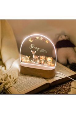 ENCİVA BEBEK ÇOCUK ODASI İSME ÖZEL GECE LAMBASI BEBEK HEDİYELİK DEKOR ÇOCUK ODASI