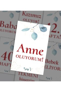 Norm Design Hamile Anı Kartı, Hafta Hafta Gebelik Takip Kartları, 24 Adet Milestone Cards