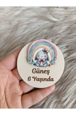 doğrukan Gökkuşaklı tavşan figürlü ahşap yenidoğan doğum günü magnet hediyelik (10 adet)