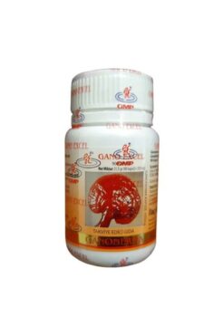 Gano Fresh Ganoderma 90 Kapsül Reishi Mantarı Takviye Gıda 350mg