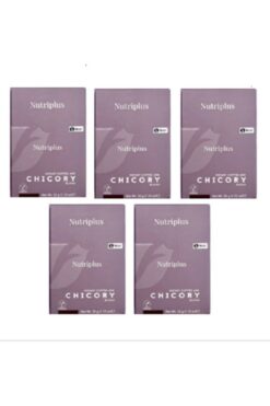 Farmasi Nutrıplus Hindiba Kahve 5 Paket 16x2