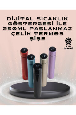 AyrStore 250Ml Led Ekranlı Paslanmaz Çelik Akıllı Termos