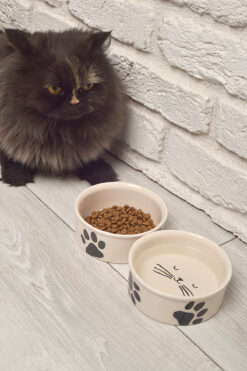 ShoppingPortal 2li Seramik Kedi köpek mama kabı 12cm (300ml)