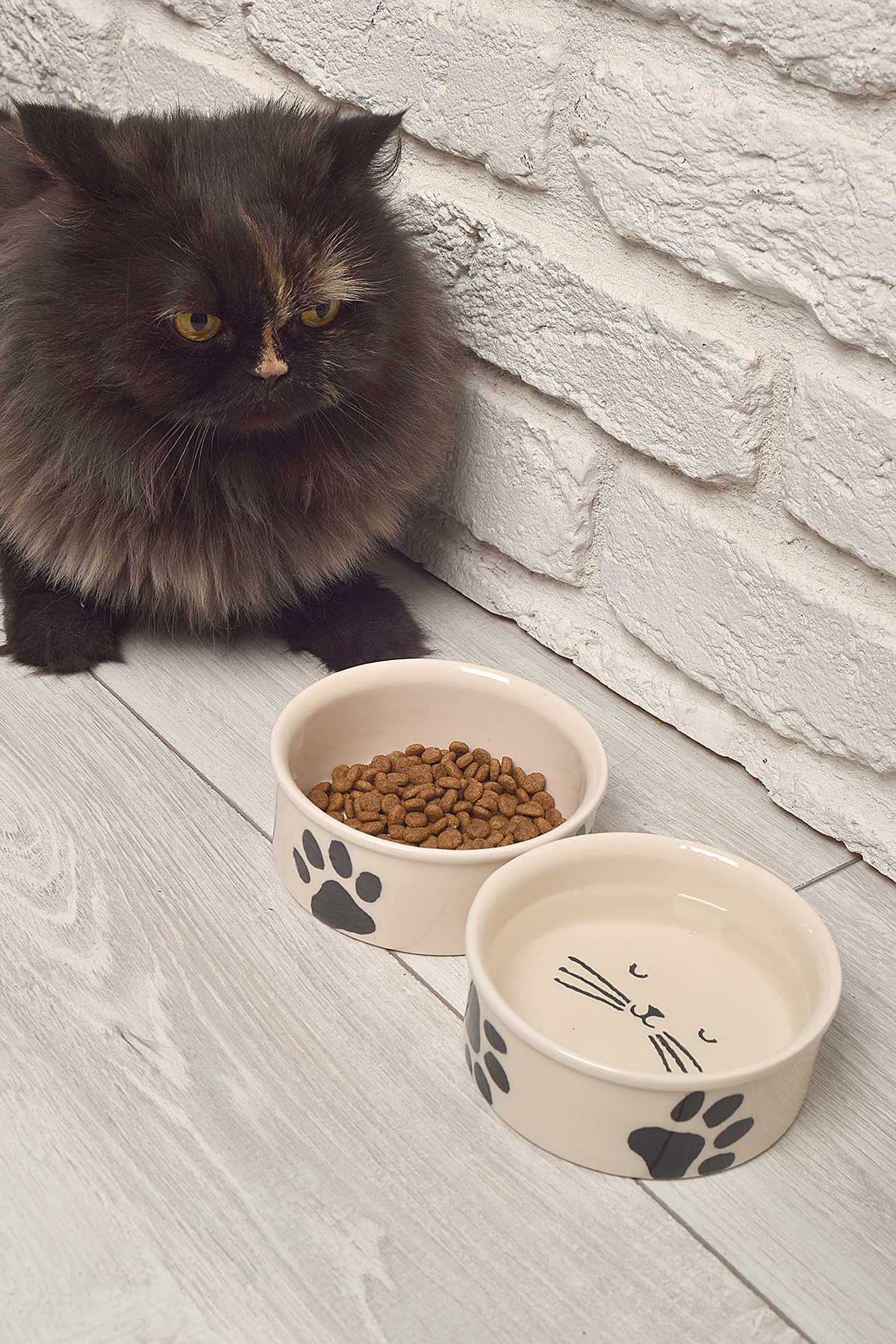 ShoppingPortal 2li Seramik Kedi köpek mama kabı 12cm (300ml)