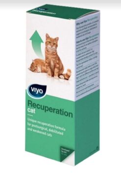 Viyo Kedi Recuperation 150ml