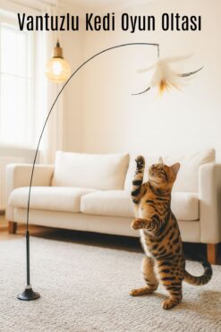 Genel Markalar Vantuzlu Kedi Oyun Oltası – Tüy Toplu Kedi Eğlence Oyuncağı
