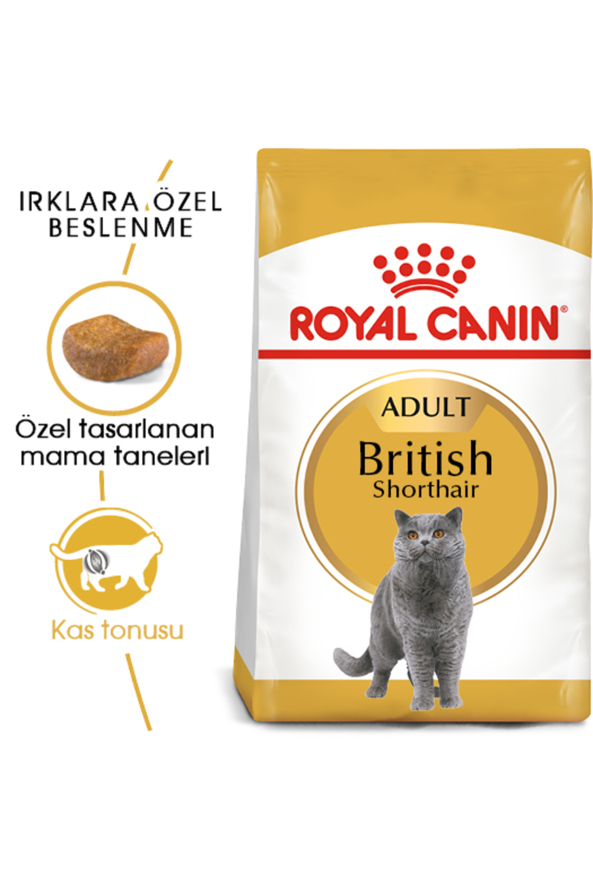 Royal Canin British Shorthair Adult Kedi Kuru Maması 2 Kg - Görsel 2