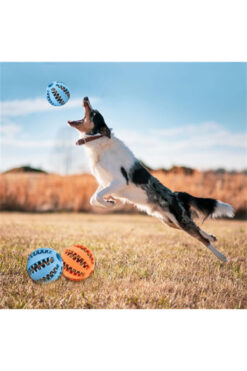 Genel Markalar Mama Hazneli Köpek Eğitim Ve Oyun Topu