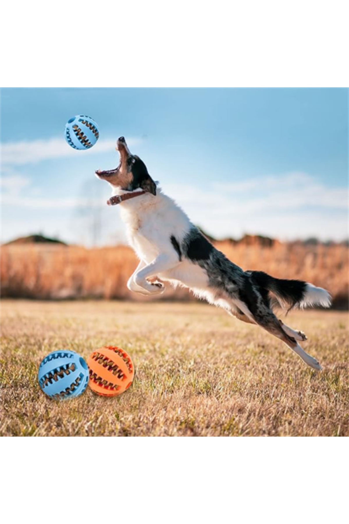 Genel Markalar Mama Hazneli Köpek Eğitim Ve Oyun Topu