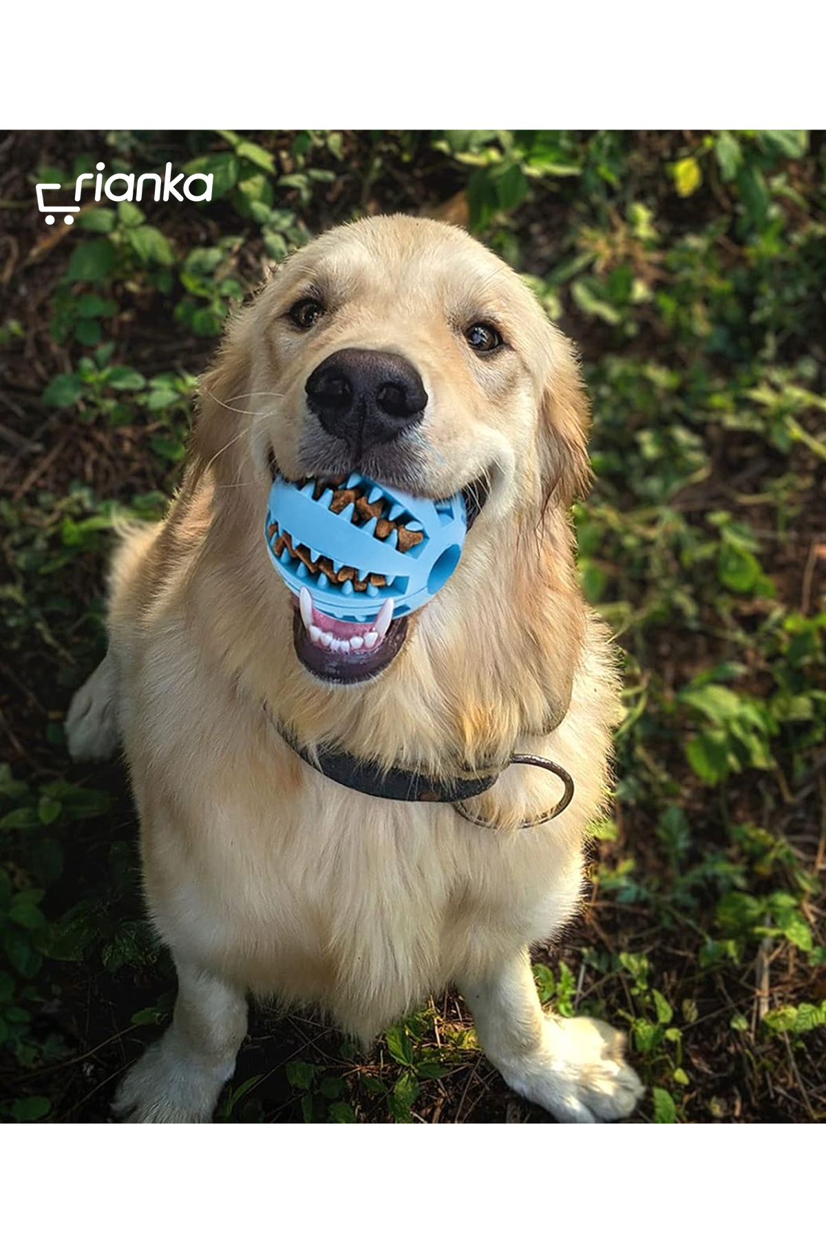 Genel Markalar Mama Hazneli Köpek Eğitim Ve Oyun Topu - Görsel 2