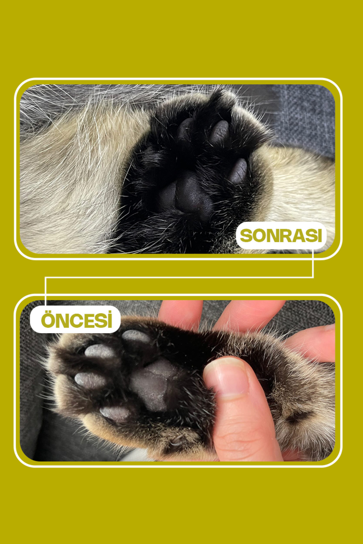 Olivacat Zeytin Çekirdeğinden Üretilen Aktif Karbonlu Tozsuz Doğal Kedi Kumu 8 L - Görsel 3