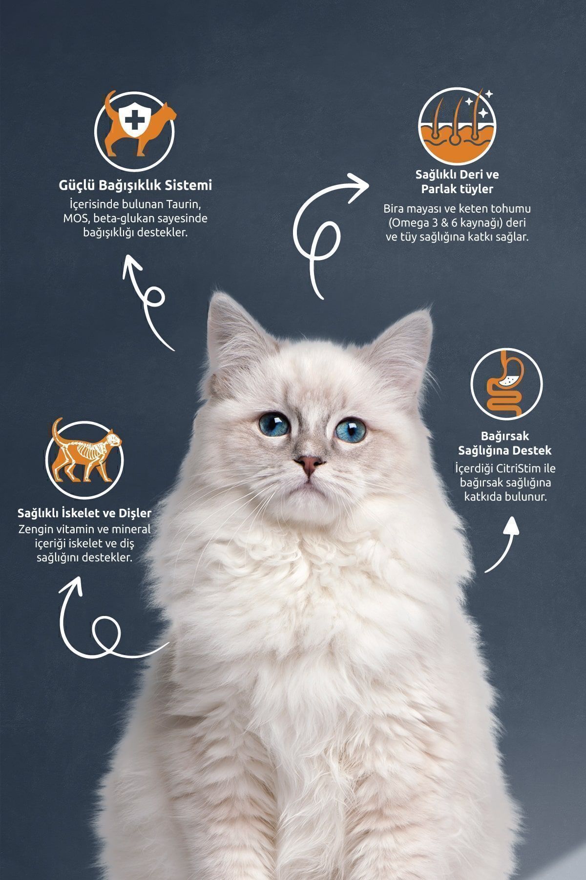 Reflex Tavuklu Yetişkin Kedi Maması 15kg - Görsel 2