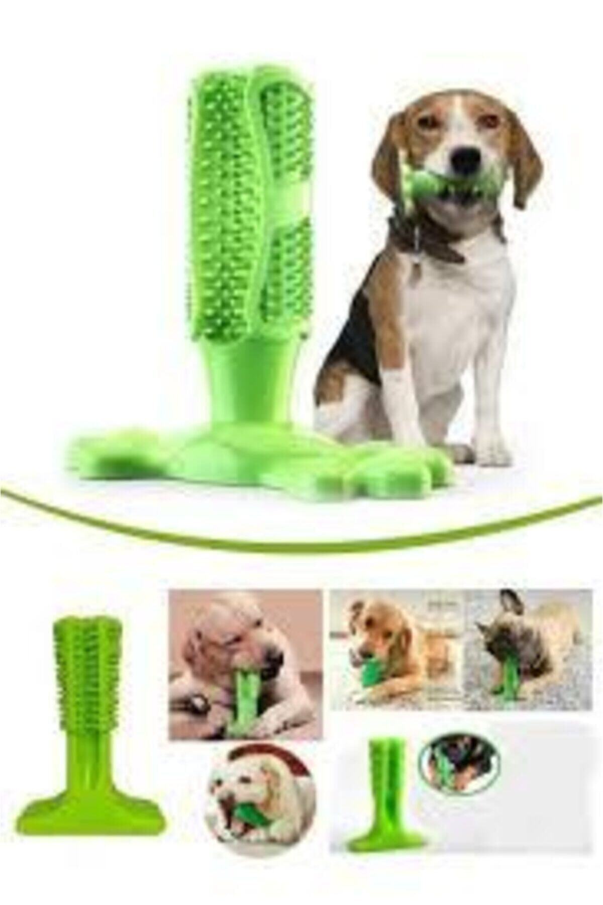 CMT Köpek Diş Fırçası Isırma Aparatı Diş Kaşıma Oyuncağı Küçük Boy - Görsel 2