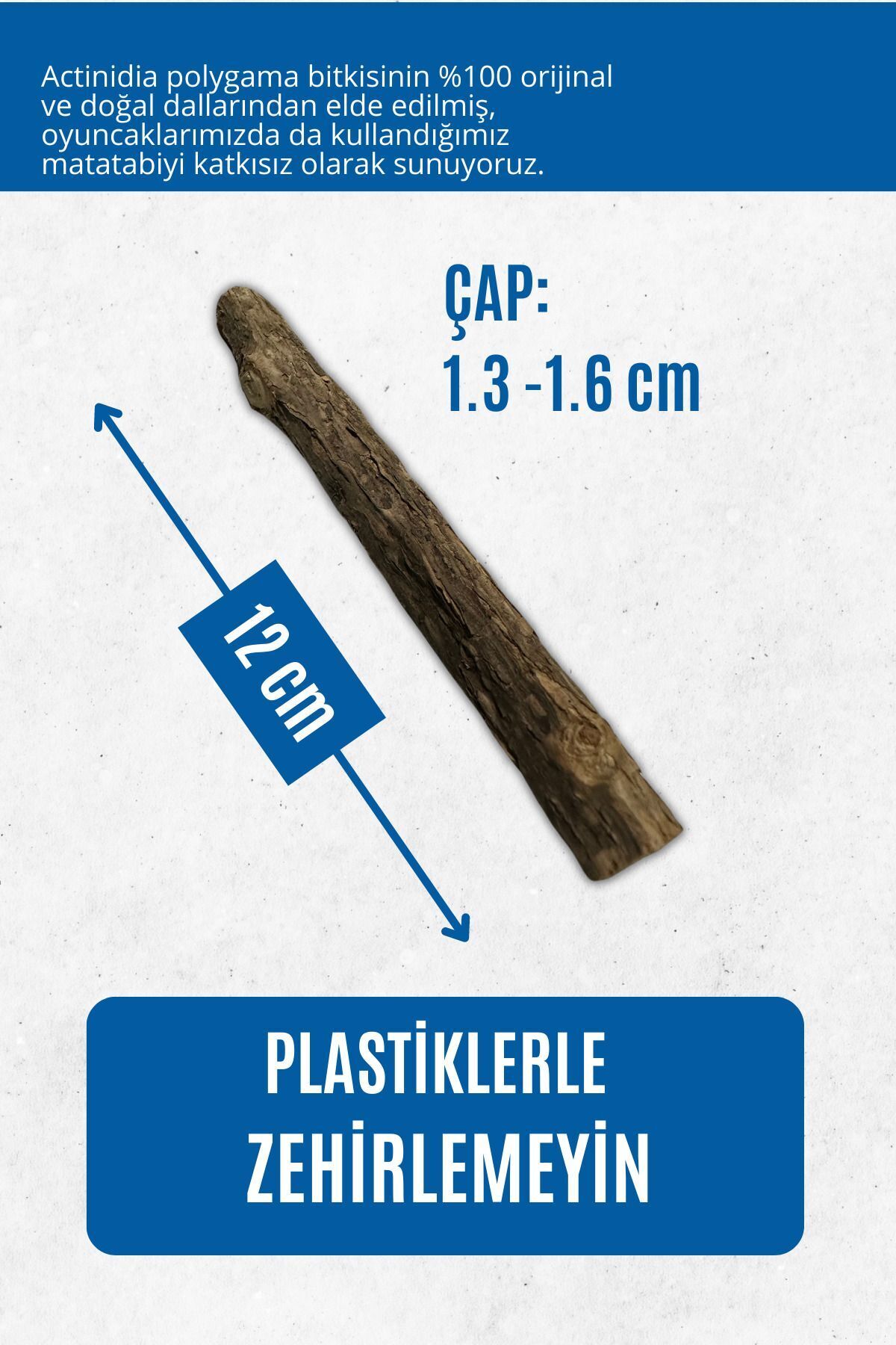 pawdaz Matatabi - Stick (KALIN - 3'LÜ) Diş Temizlemeye Ve Stres Gidermeye Yardımcı Doğal Oyuncak - Görsel 2