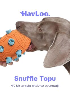 Havloo Köpek Snuffle Topu | Mama Saklama ve Çiğneme Oyuncağı