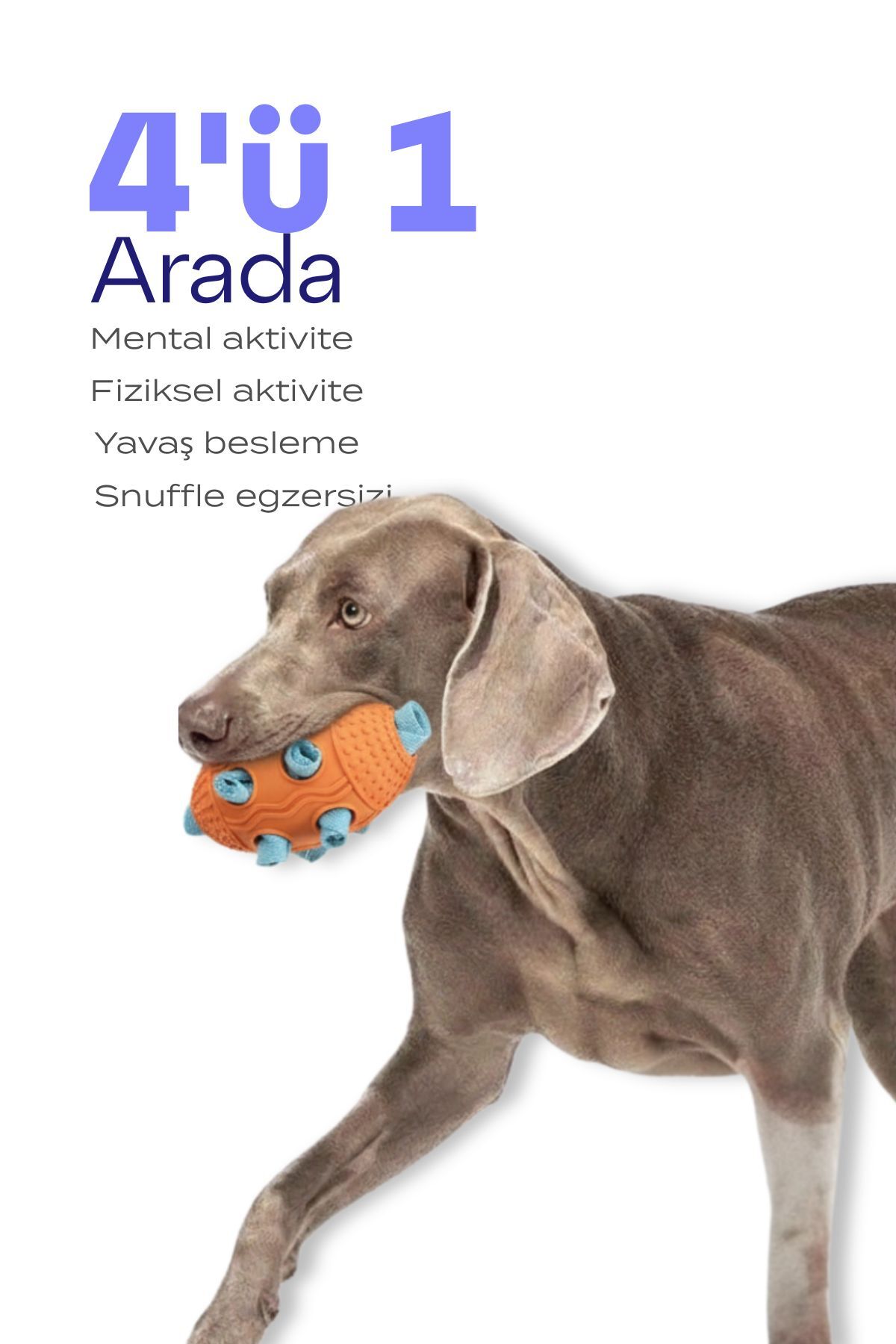 Havloo Köpek Snuffle Topu | Mama Saklama ve Çiğneme Oyuncağı - Görsel 2