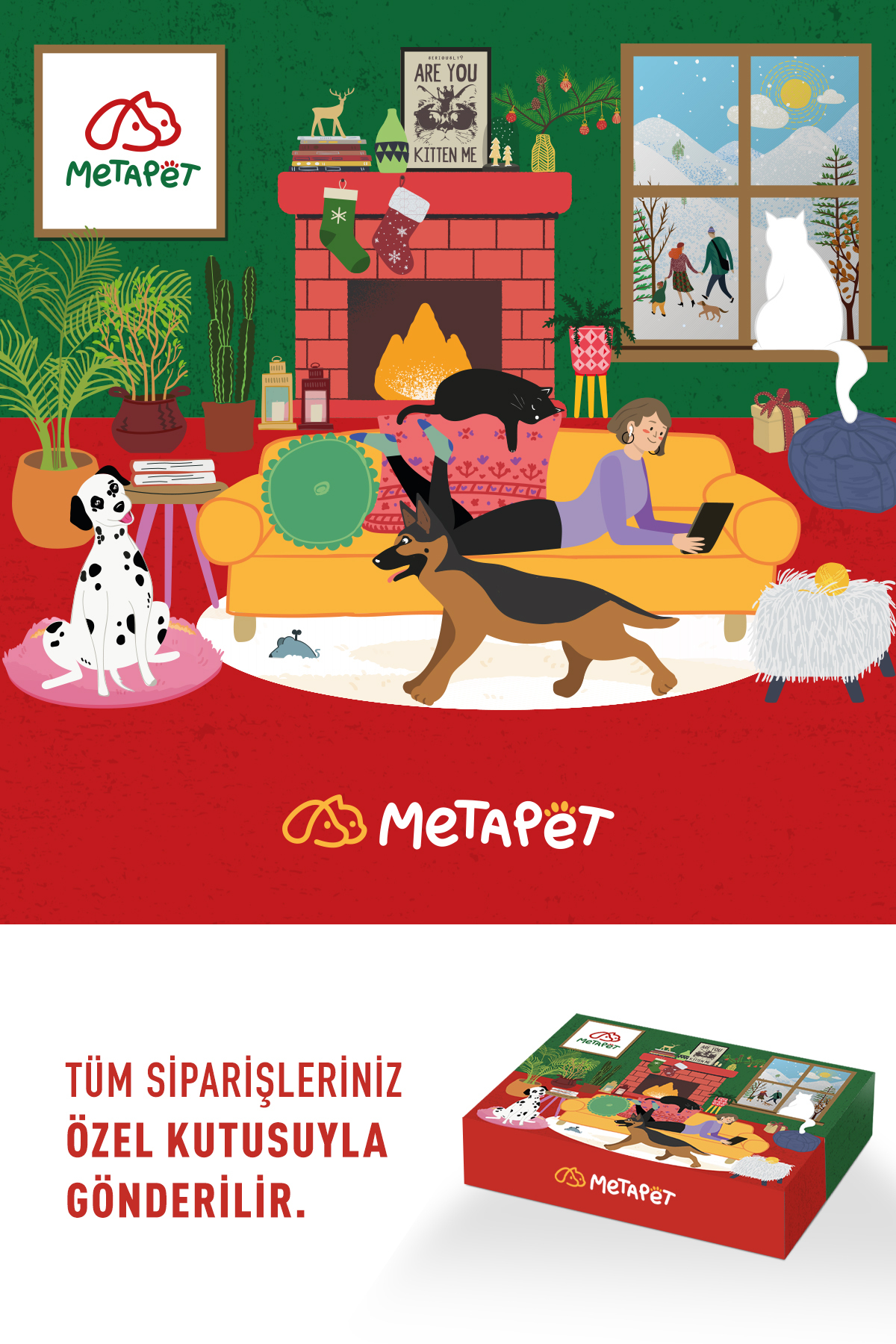 Metapet Kediler için 9in1 MultiVitamini Macunu, Tüy Eklem Glukozamin Yavru Sağlığı Destekleyici Malt 100ML - Görsel 2