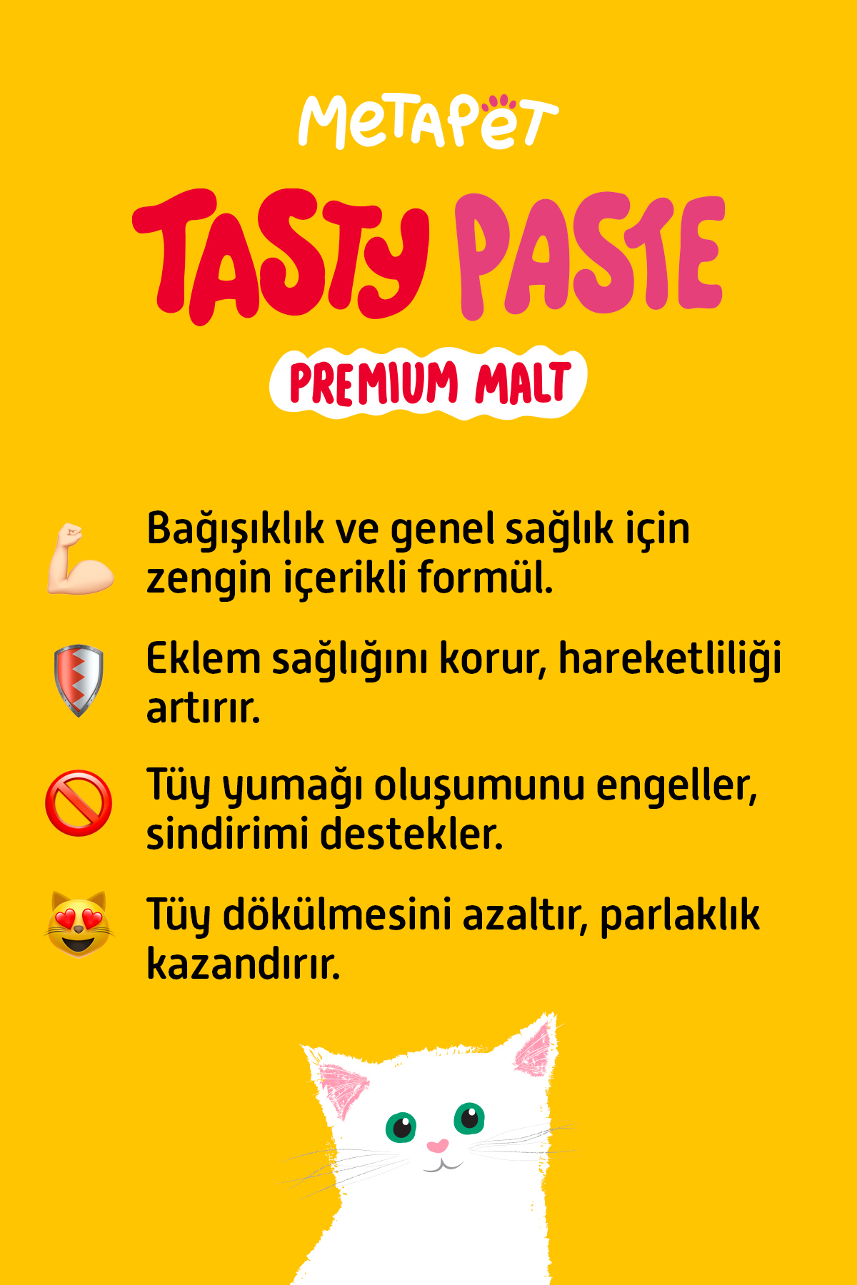 Metapet Kediler için 9in1 MultiVitamini Macunu, Tüy Eklem Glukozamin Yavru Sağlığı Destekleyici Malt 100ML - Görsel 3