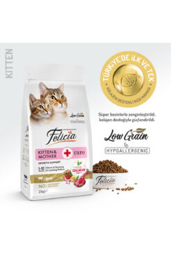 Felicia Kitten Mother & Kitten Kuzu Etli Yavru Kedi Maması 2 Kg