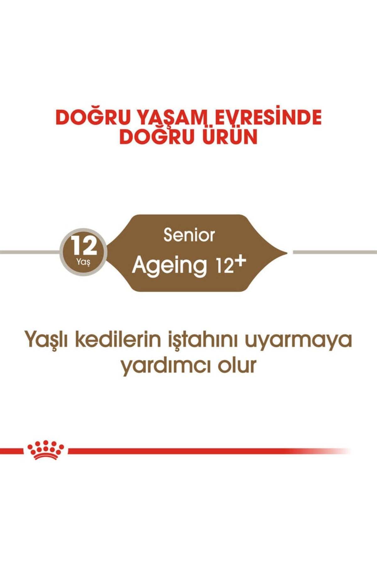 Royal Canin Ageing +12 Yaşlı Kedi Maması 2 Kg - Görsel 3