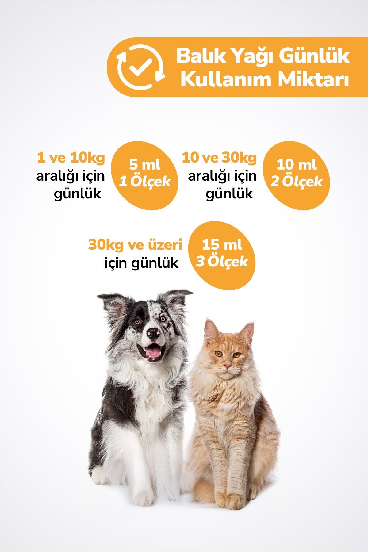 LeChaton Pet Care Fish Oil - Kedi Ve Köpek Için Balık Yağı 200ml Omega 3 ve 6 Takviyesi Tüy ve Cilt Sağlığı Desteği - Görsel 3