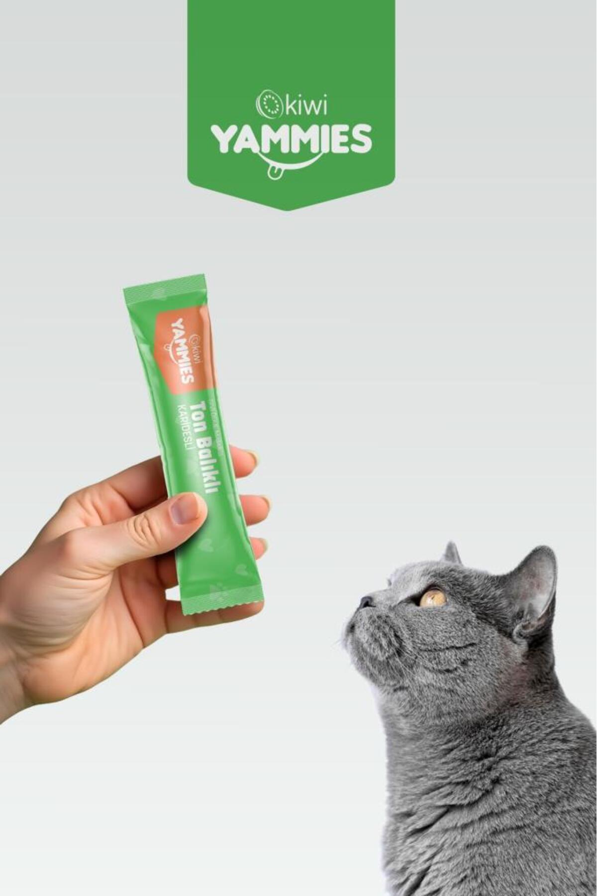 Kiwi Yammies Kiwi Pets Sıvı Kedi Ödül Maması 15 GR *60 ADET - Görsel 2