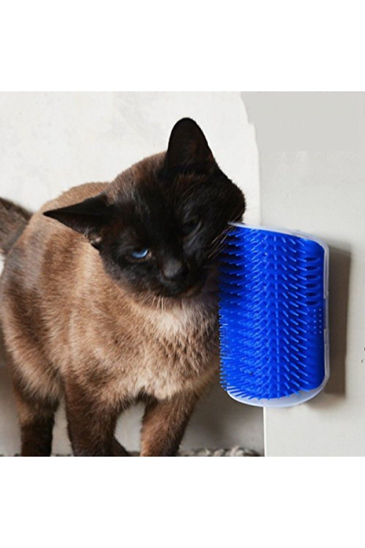 Genel Markalar Kedi Kaşınma Aparatı | Yapışkanlı Tarak | Tırmalama | Sürtünme | Kedi Masaj Fırçası - Görsel 2
