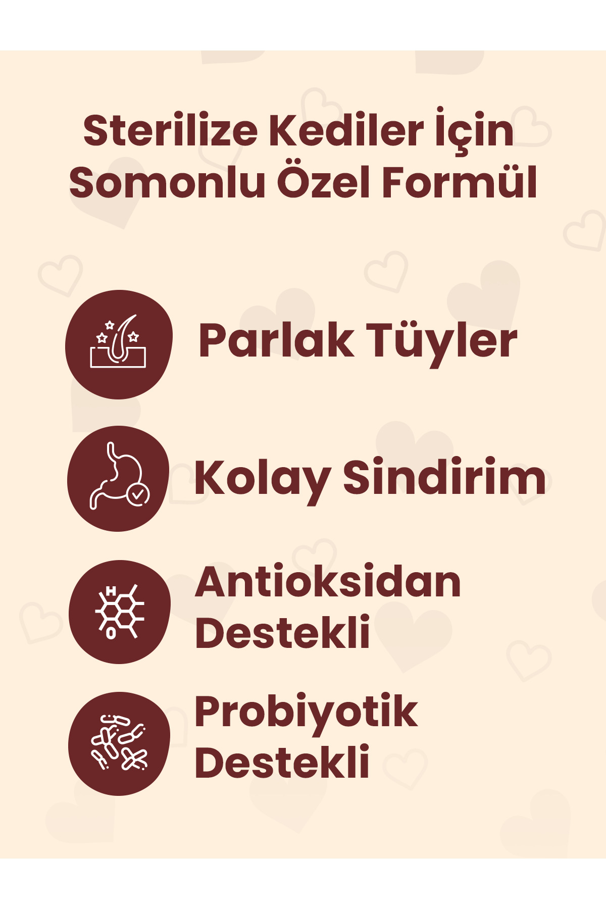 how&meow How Meow Somonlu Kısır Kedi Maması - Görsel 3