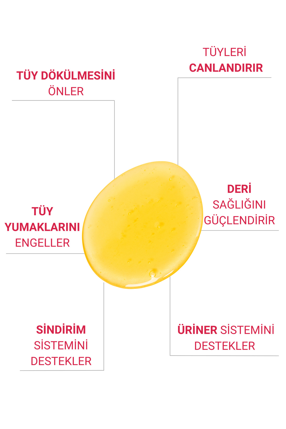 Petiola Tüy Dökülmesini Önleyici ve Tüy Sağlığını Destekleyici, Tüy Yumağı Ve Kusma Önleyici Set - Görsel 3